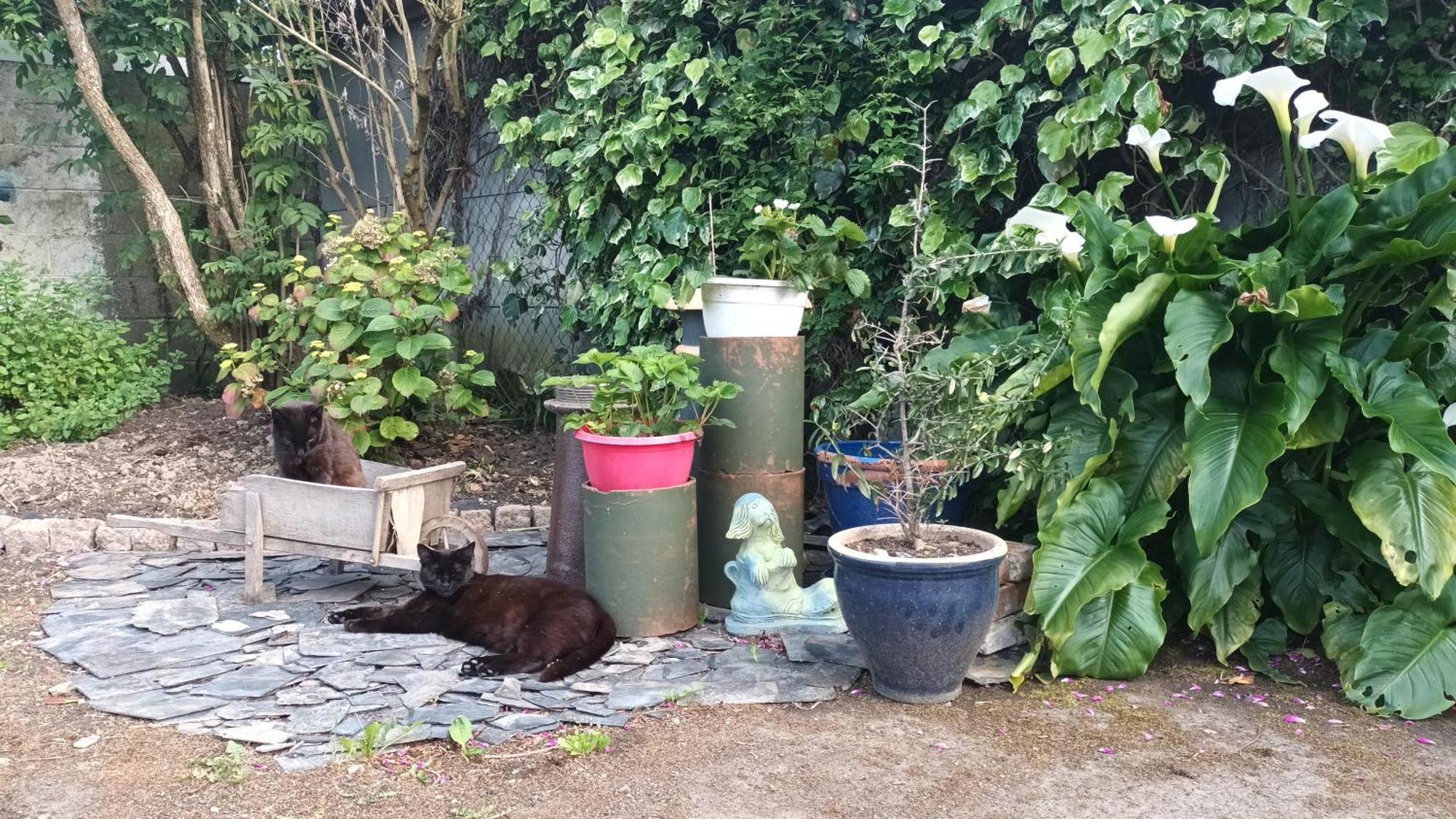 Willa La Petite Ecole De La Baie Pontorson Zewnętrze zdjęcie